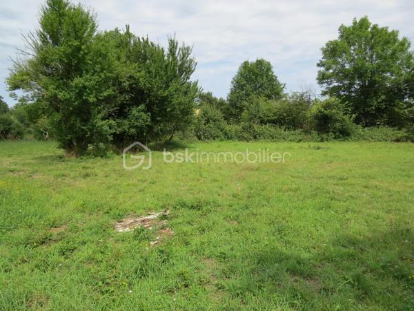 Maison ancienne de 80 m²