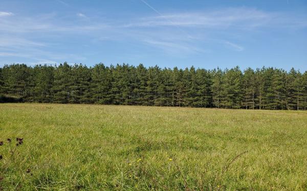 Terrain à vendre    Canals