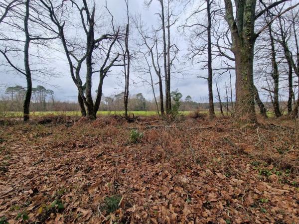 Terrain Constructible Saint-Geours-de-Maremne 45 a 97 ca