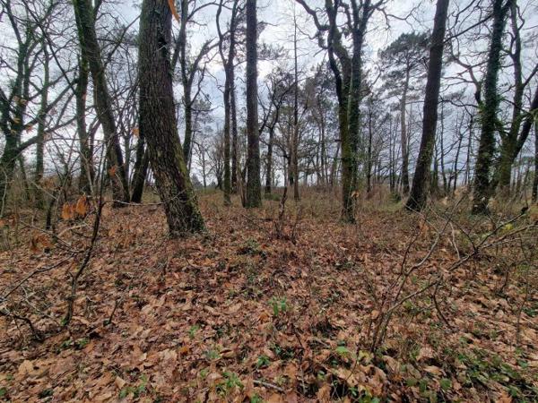Terrain Constructible Saint-Geours-de-Maremne 45 a 97 ca