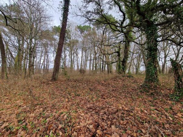 Terrain Constructible Saint-Geours-de-Maremne 45 a 97 ca