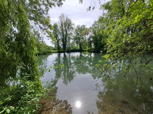 Maison à vendre à Chef-Boutonne (79110) - Deux-Sèvres
