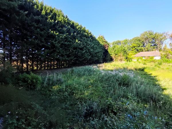 Magnifique terrain à bâtir de 36 ares !