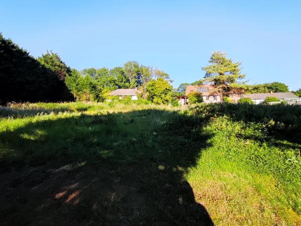 Magnifique terrain à bâtir de 36 ares !