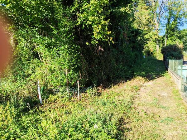 Magnifique terrain à bâtir de 36 ares !