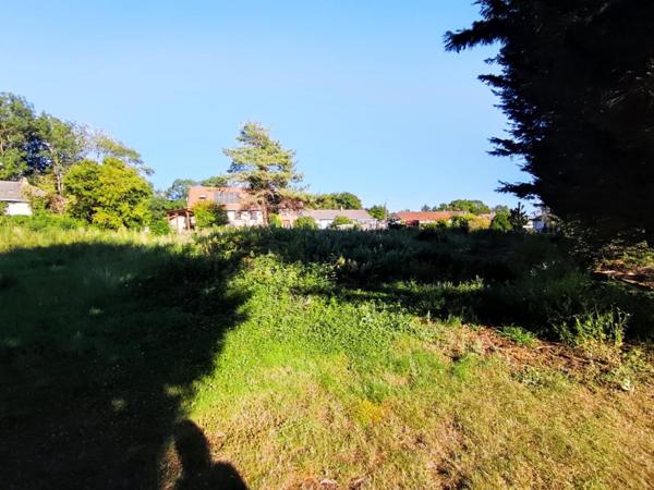 Magnifique terrain à bâtir de 36 ares !