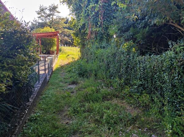 Magnifique terrain à bâtir de 36 ares !