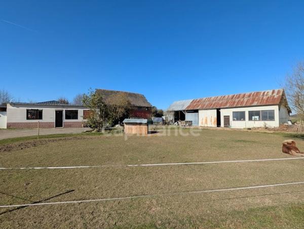 À VENDRE – Maison familiale de 195 m² sur un terrain d'environs 3000 m² proche de ABANCOURT (60)