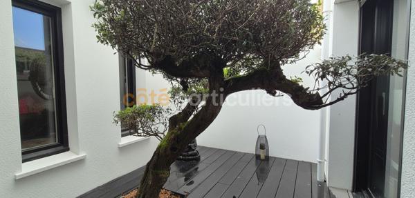 Vente Maison114,7 m² - 4 Pièces - LORIENT (56100)