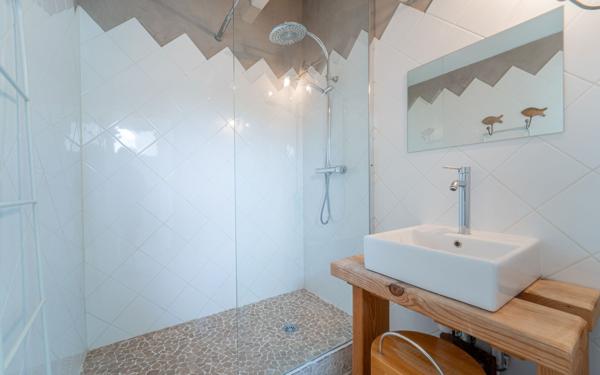 Maison à vendre    7 pièces •  Biscarrosse