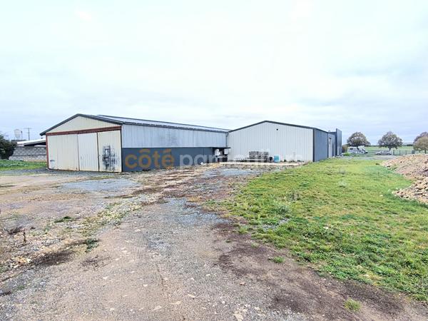 Location Local d'activité1057 m² - SAINTE GEMME LA PLAINE (85400)