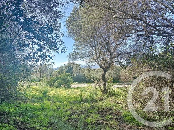 Terrain à vendre  875 m2 PORTO VECCHIO - 201
