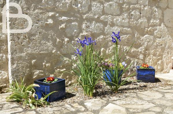 Montaigu-de-Quercy (82150) Maison quercynoise avec piscine et dépendances à Montaigu de Quercy
