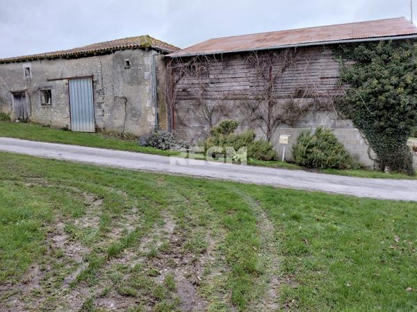 Châtignac (16480) Belle ferme de 35 hectares avec vente des produits de la ferme