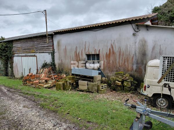 Châtignac (16480) Belle ferme de 35 hectares avec vente des produits de la ferme