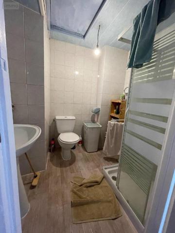 Autres types de maison à vendre à Saint-Julien-du-Sault dans l'Yonne (89330), ref : 2200024