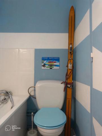 Appartement à vendre 2 pièces LA MONGIE (65) avec Balcon, cellier et casier à ski.