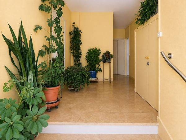 BELLE APPARTEMENT - PLAGE ET CENTRE VILLE - JARDIN