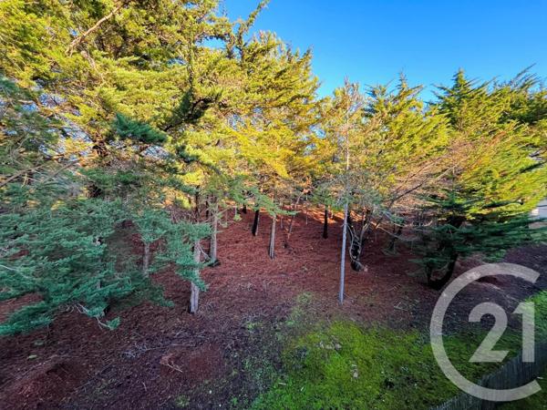 Appartement T2 à vendre  2 pièces - 41,28 m2 ST HILAIRE DE RIEZ - 85