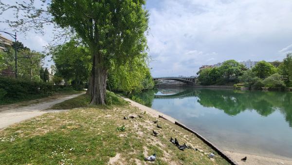 CHAMPIGNY SUR MARNE T3 A LOUER 81.62m²