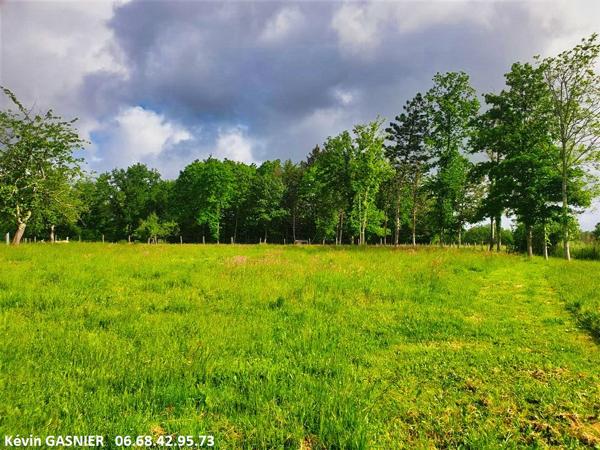 GRASSAC (16380) : Terrain de 19380m2 (Bois + partie constructible)