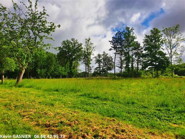 GRASSAC (16380) : Terrain de 19380m2 (Bois + partie constructible)