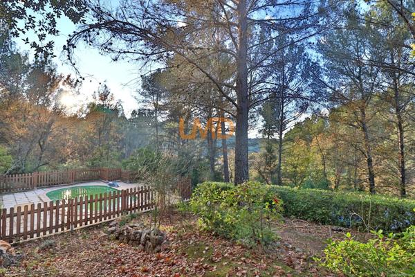 Maison de campagne plain pied 3 chambres Piscine 5000m2 de terrain
