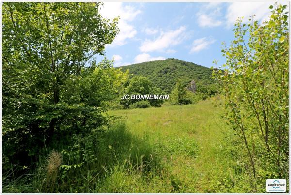 Dpt Drôme (26), à vendre COMBOVIN terrain - Terrain 2936 m² - 1500 m² Constructibles - Vercors