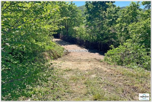Dpt Drôme (26), à vendre COMBOVIN terrain - Terrain 2936 m² - 1500 m² Constructibles - Vercors