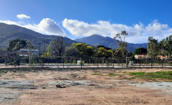 Grand terrain 4 faces viabilisé prêt à construire