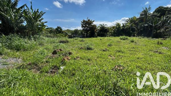 Terrain à vendre 1 471 m² Petite-Île