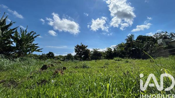 Terrain à vendre 1 471 m² Petite-Île