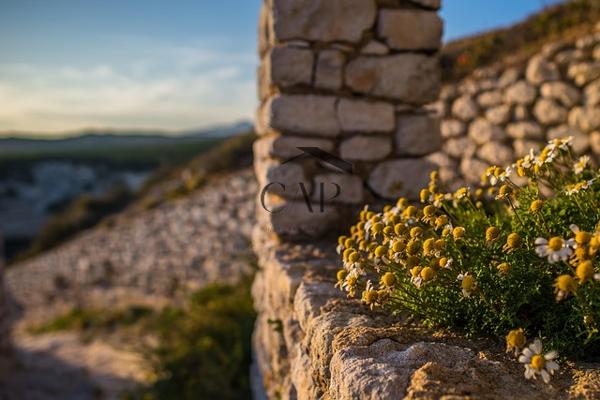 Bonifacio (20169) Villa Bergerie contemporaine – Bonifacio Sud Corse