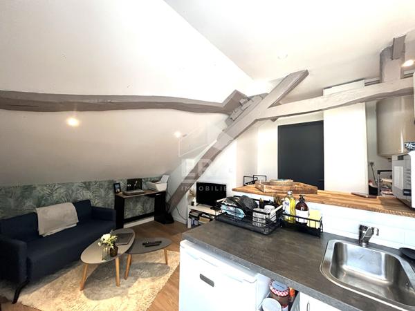 APPARTEMENT T2 A LOUER - BLOIS - LOUE MEUBLE ET EQUIPE, 1 CHB, BOX/GARAGE
