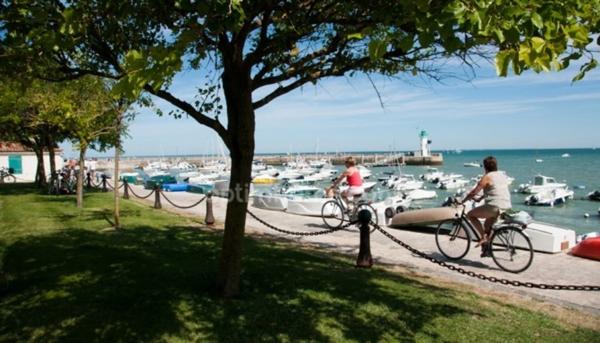 Appartement à vendre 2 pièces LA FLOTTE (17)