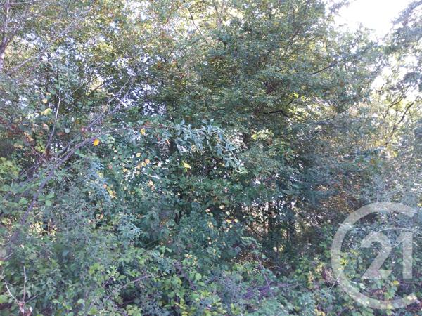 terrain à vendre  890 m2 BETAILLE - 46