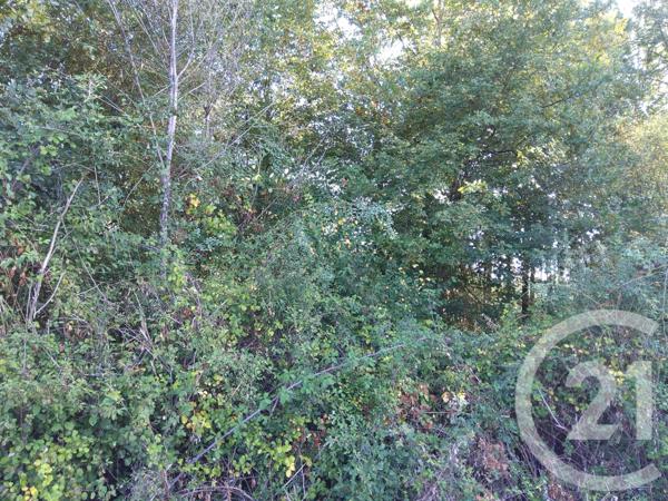 terrain à vendre  890 m2 BETAILLE - 46