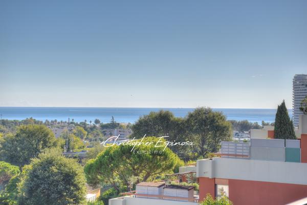 Villeneuve-Loubet (06270) Exclusivité – Studio dernier étage avec terrasse, vue mer et montagne – Villeneuve-Loubet