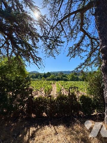 L'Etude Maubé vend une magnifique propriété de charme de plus de 500m2 située à Cassis.