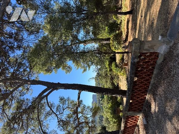 L'Etude Maubé vend une magnifique propriété de charme de plus de 500m2 située à Cassis.