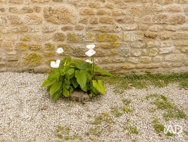 Murs commerciaux  à vendre 702 m² Aulnay