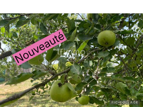 Verger et potager luxuriants, refuge paisible à découvrir