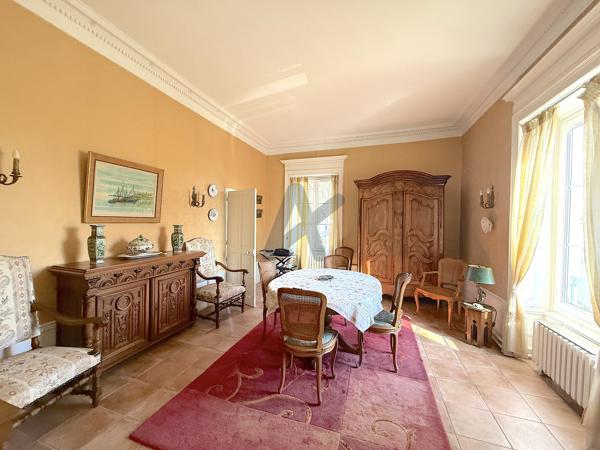RARE NEUVILLE SUR SAONE. Appartement 137m2 hab env. terrasse, jardin, garage