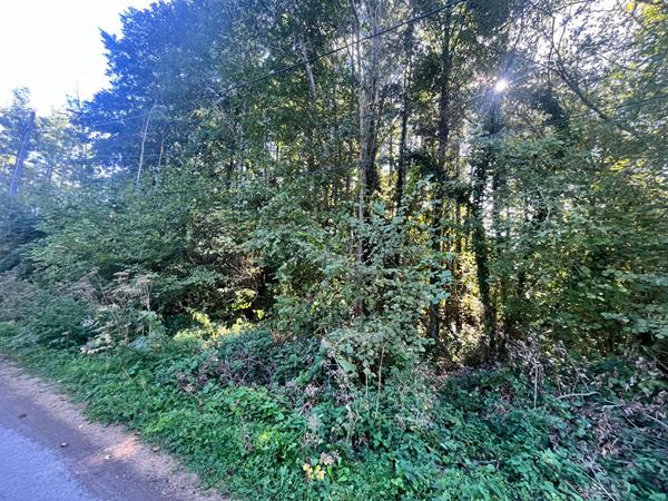 SAINT MARTIN DE BRETHENCOURT - TERRAIN A BATIR