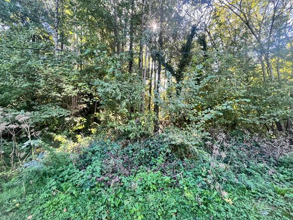 SAINT MARTIN DE BRETHENCOURT - TERRAIN A BATIR