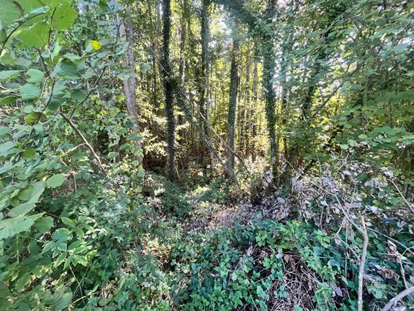 SAINT MARTIN DE BRETHENCOURT - TERRAIN A BATIR
