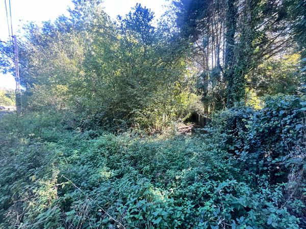 SAINT MARTIN DE BRETHENCOURT - TERRAIN A BATIR