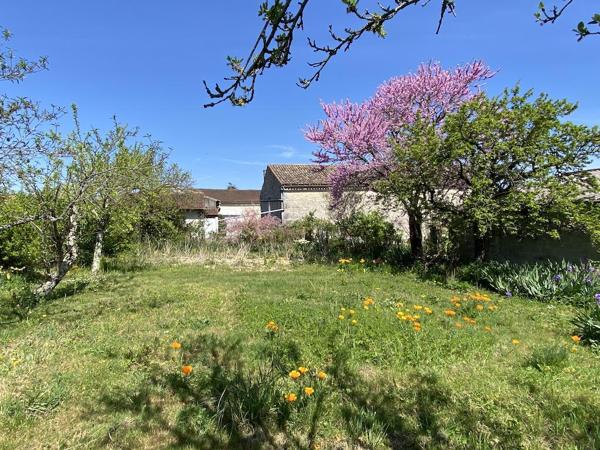 Vente / Maison avec dépendance