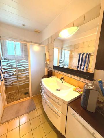 Maison à vendre à Châtillon-Saint-Jean (26750)