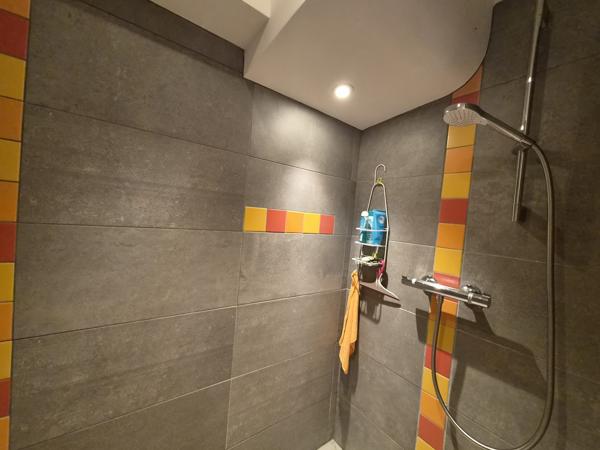 APPARTEMENT T3 TERRASSE JARDIN NEVACHE